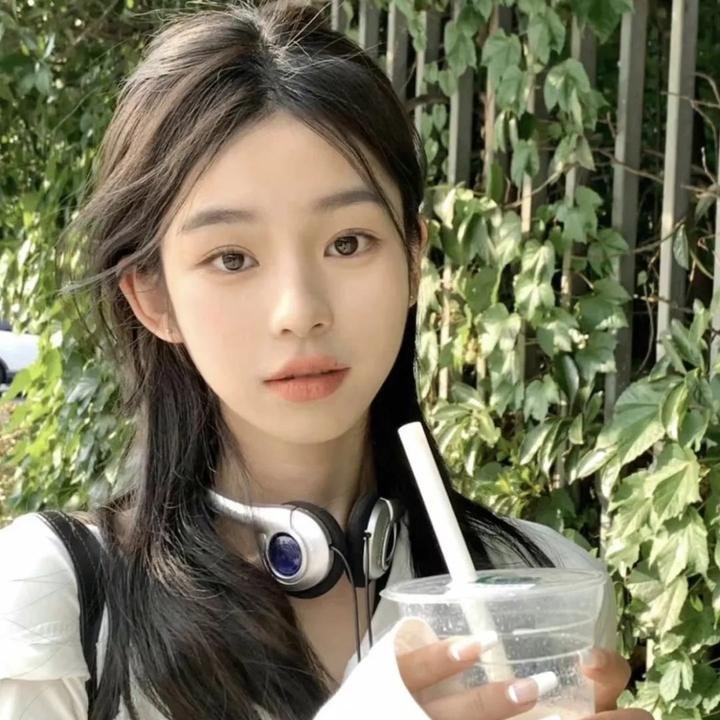 暴龙真相